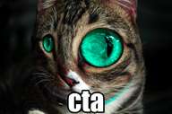 distorted image of a cat, labelled 'cta'